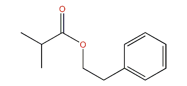 2-Phenylethyl 2-methylpropionate